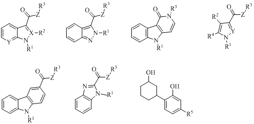 7881495.png