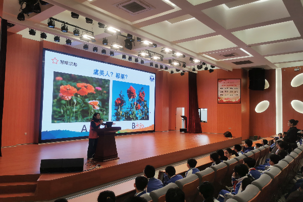 講解毒品原植物.jpg